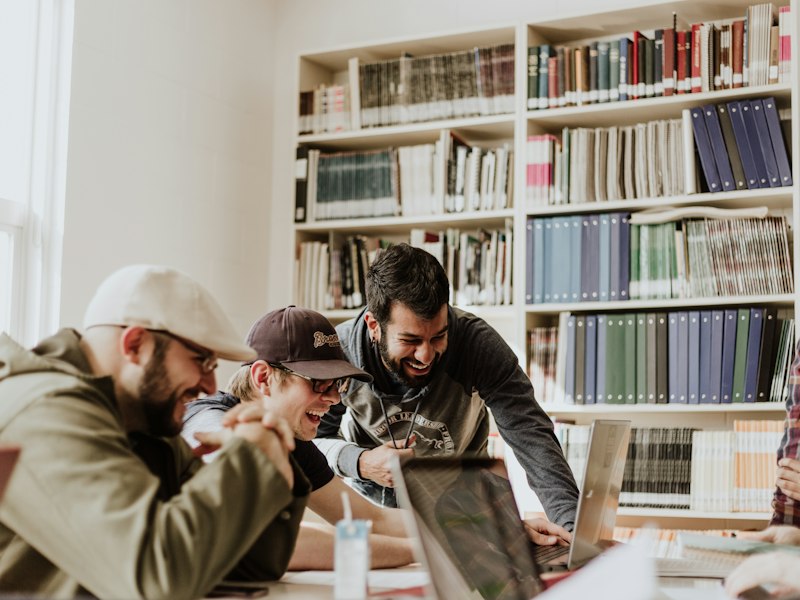 红叶石楠（高杆球/色块苗）